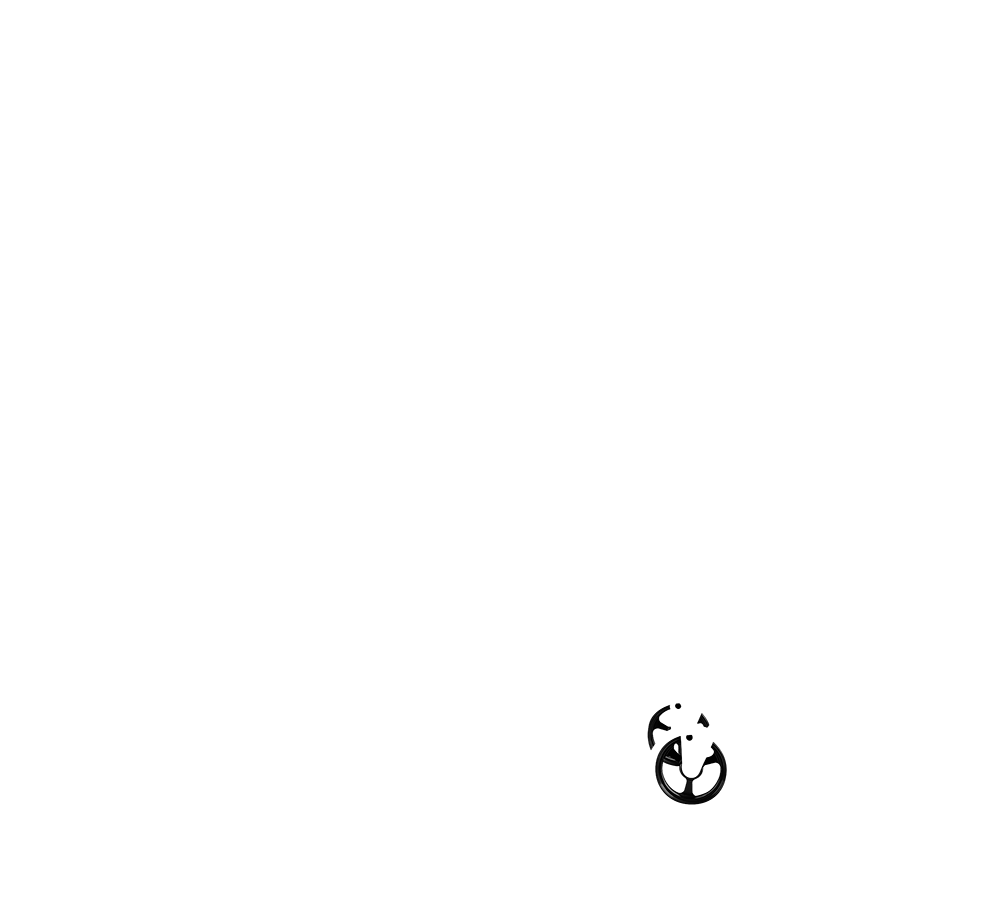 Castor Wheel